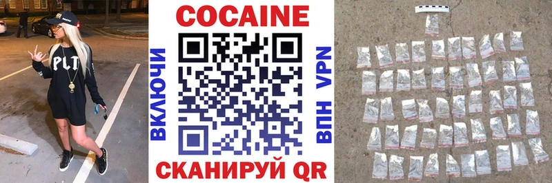 дарнет шоп  Рузаевка  Кокаин FishScale 