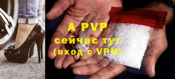 индика Волосово