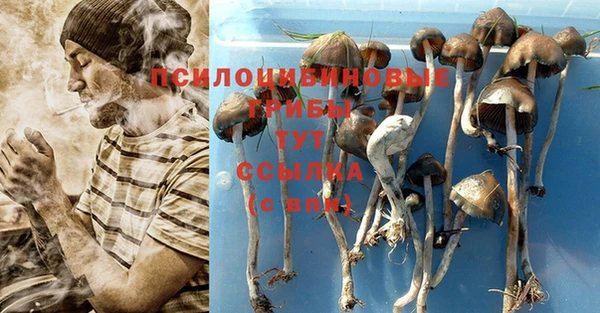 ECSTASY Волоколамск
