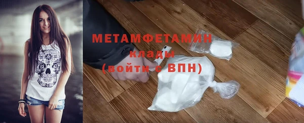 индика Волосово
