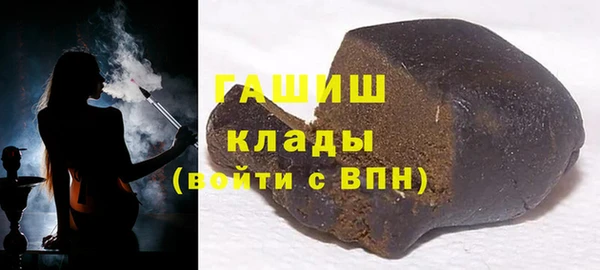индика Волосово
