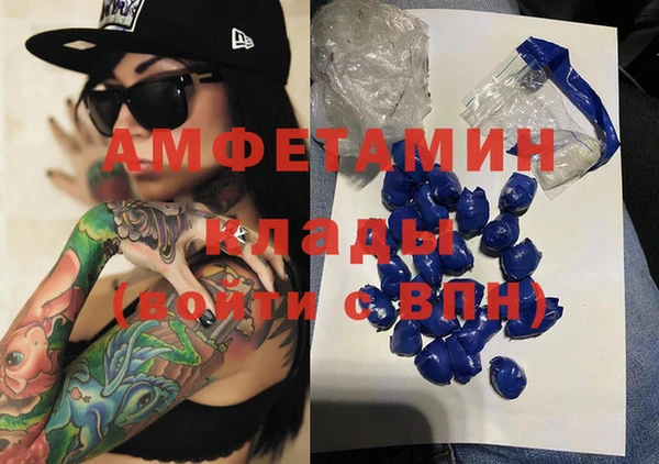 индика Волосово