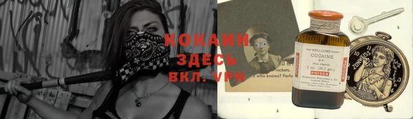 индика Волосово