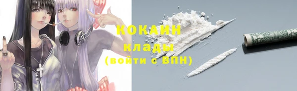 индика Волосово