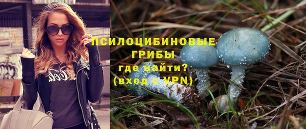 индика Волосово