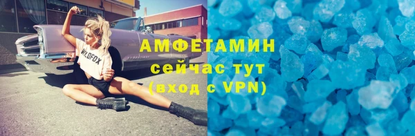 индика Волосово