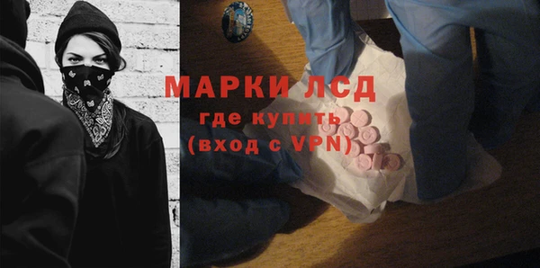 индика Волосово