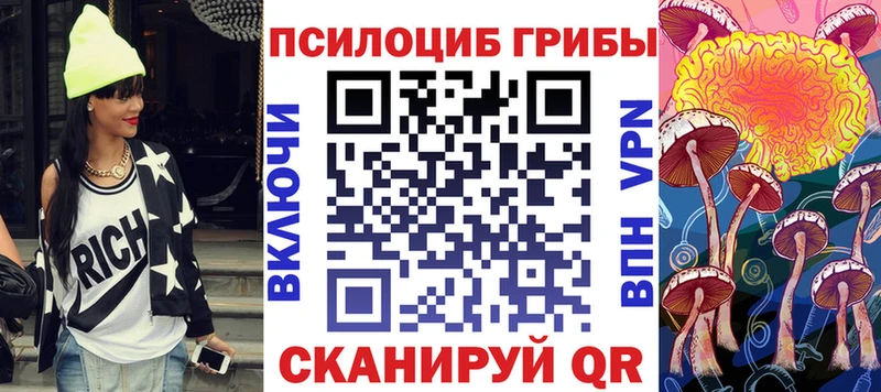 цена   Рузаевка  Галлюциногенные грибы GOLDEN TEACHER 